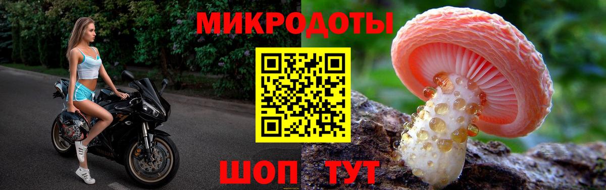 Галлюциногенные грибы мухоморы Камышлов